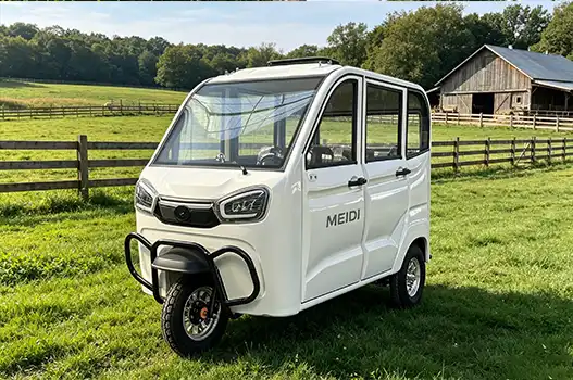 Buyer’s Guide to Passenger Electric 3 Wheeler